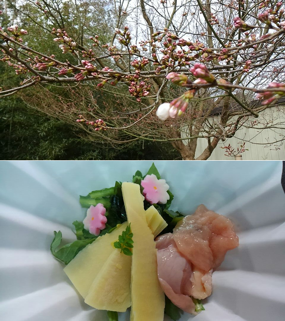 �ւ����̍��Ƃ����̂�